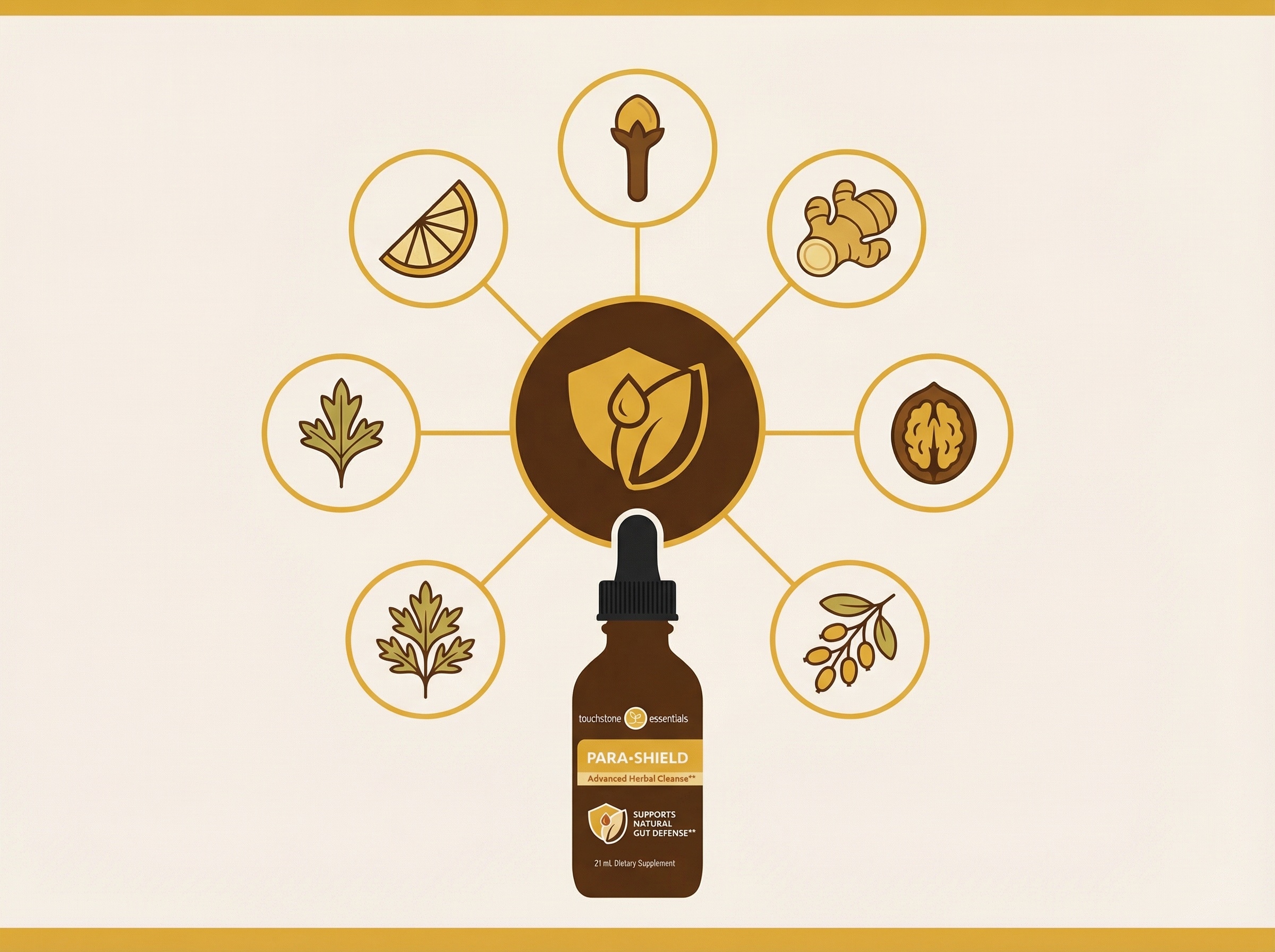 Para-Shield herbal ingredients infographic