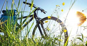 Read more about the article 3 Steps to Soothe Seasonal Allergies