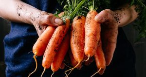 Read more about the article Dangers of Synthetic Beta Carotene
