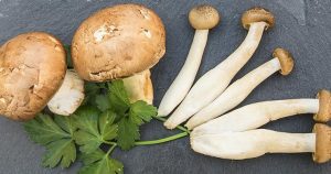 Read more about the article The ONLY Superfood Source for Vitamin D