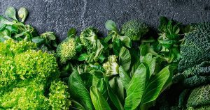 Read more about the article How Chlorophyll Protects Cells