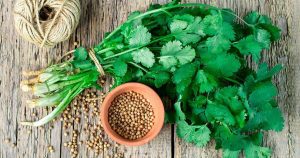 Read more about the article 7 Health Benefits of Cilantro