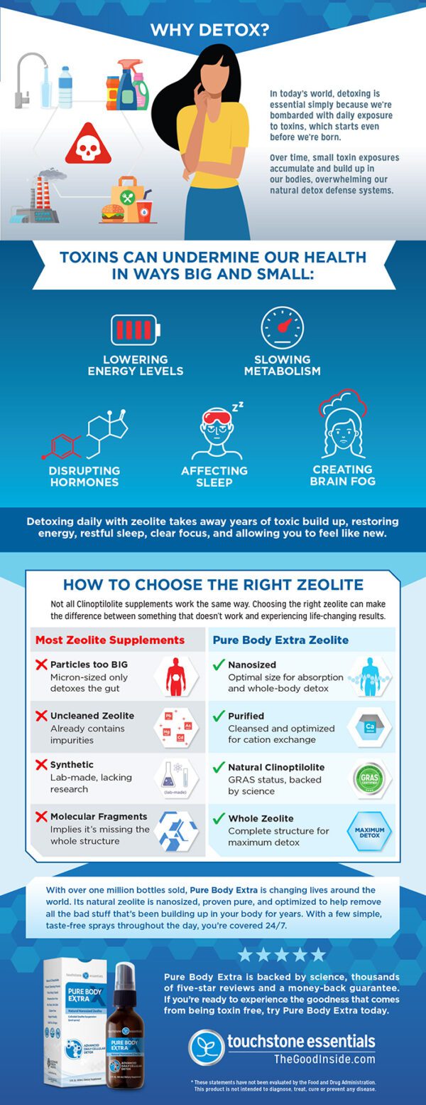 Everything You Want to Know About Zeolite The Good Inside at