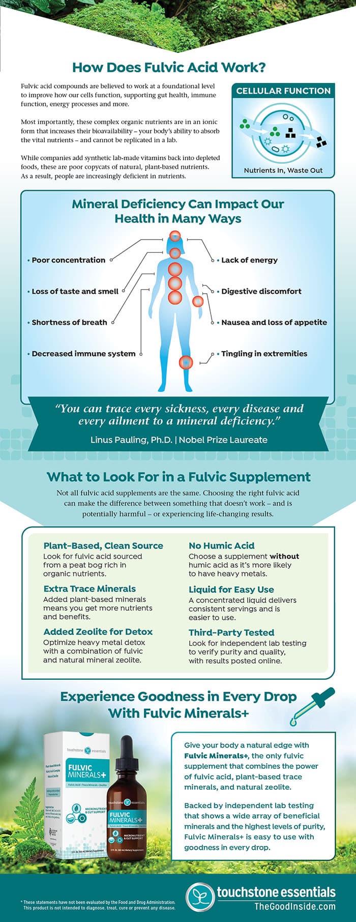 How Fulvic Acid Works