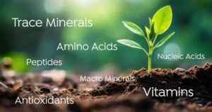 Read more about the article A Complete Guide to Fulvic Minerals, Benefits, and Uses