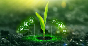 Read more about the article 8 Health Benefits of Fulvic Acid