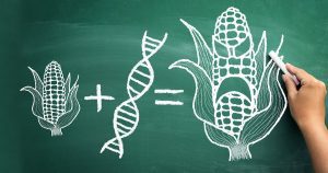 Read more about the article 13 of the Most Common GMO Foods