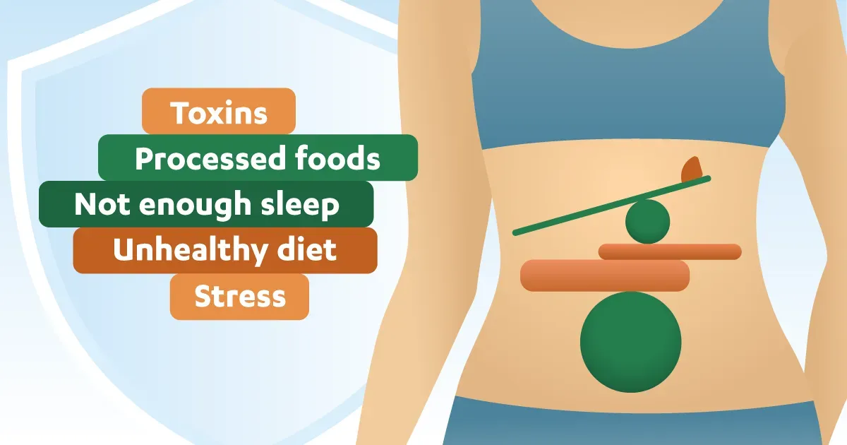 Illustration of body with list of gut issues