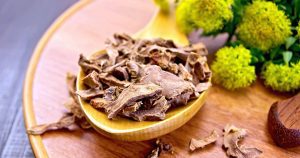 Read more about the article Top 7 Herbs for a Healthy Immune System