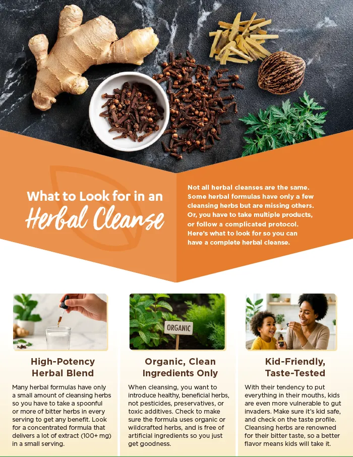Page 3 Gut Cleanse Explained