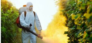 Read more about the article 6 Surefire Signs You Need Detox