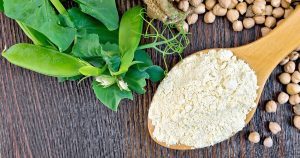 Read more about the article Plant vs Whey Protein Showdown