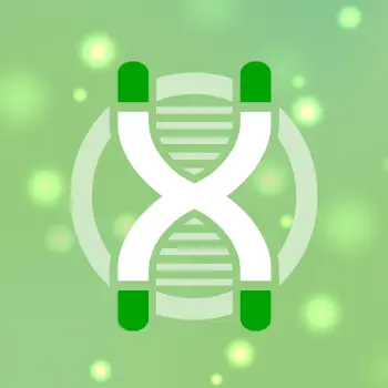 Illustration of chromosome