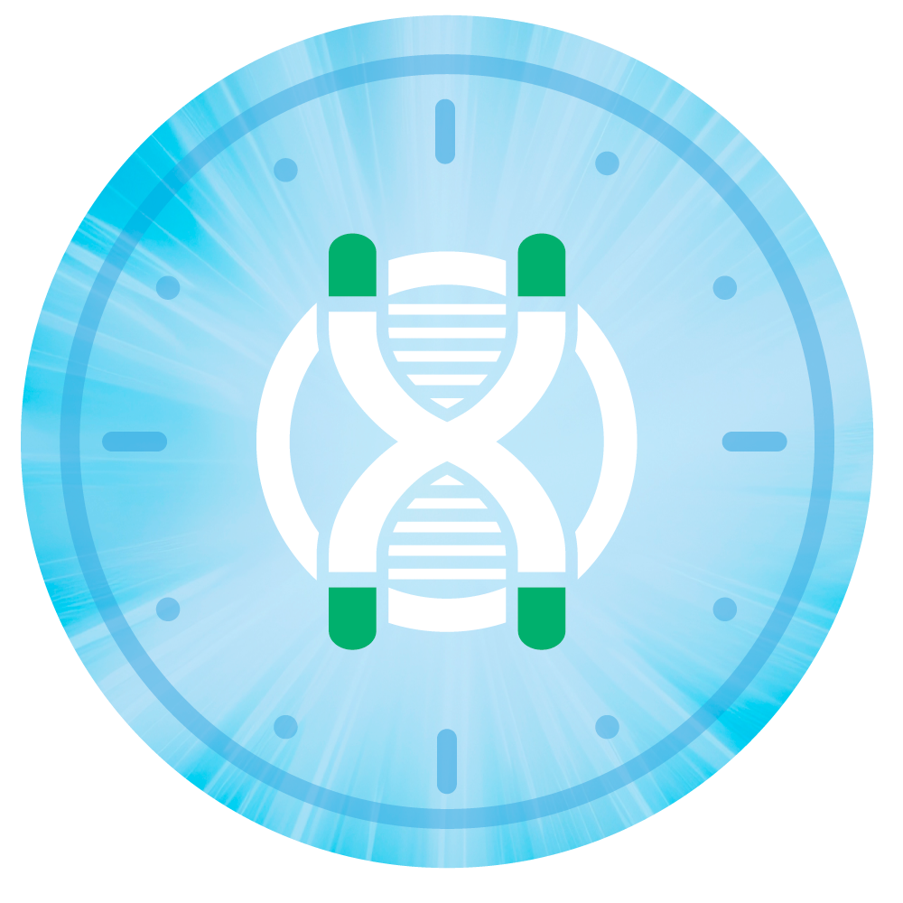 Illustration of clock face with a chromosome